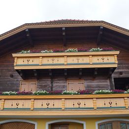 Malerei Eichhorn | Vöcklabruck
